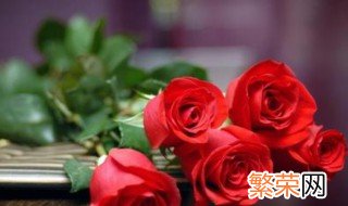 21朵玫瑰花代表什么意思 21朵玫瑰花代表花语