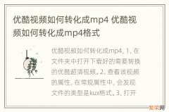 优酷视频如何转化成mp4 优酷视频如何转化成mp4格式