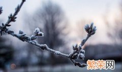 24节气霜降节气意味着什么 霜降为什么叫霜降