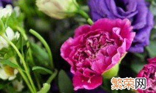 教师节送什么花最新 教师节送啥花最新