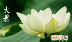 24节气大暑是什么意思 大暑简单介绍