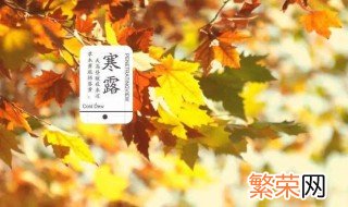 寒露节气的含义是什么以及养生技巧 寒露节气的含义及养生技巧介绍