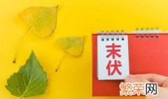 2021三伏天是什么意思 2021三伏共多少天