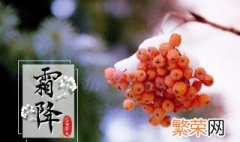 24节气霜降应该吃什么 霜降应该吃的食物