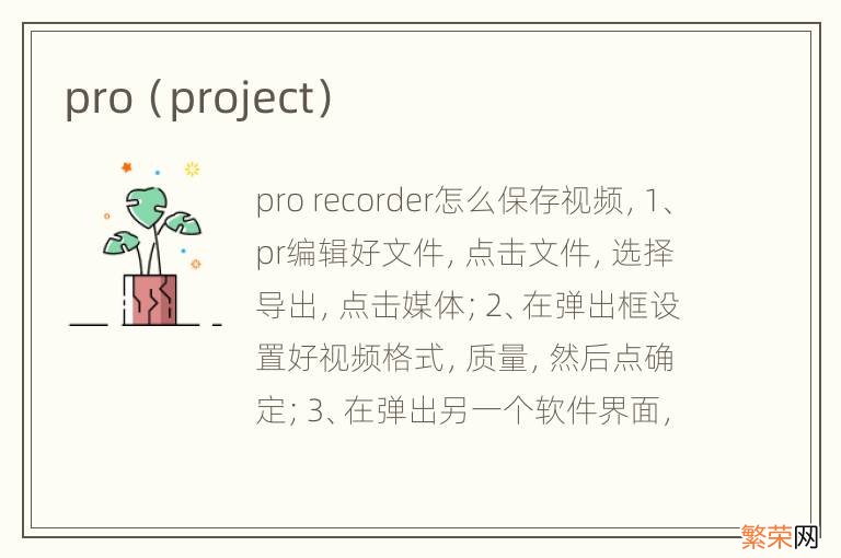 project pro