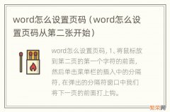 word怎么设置页码从第二张开始 word怎么设置页码