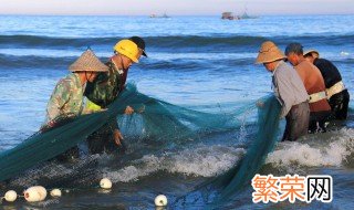 草鱼死了一个晚上还能吃吗 草鱼刚死几个小时能吃吗