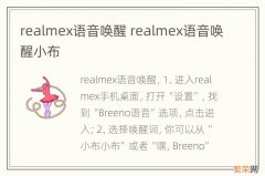 realmex语音唤醒 realmex语音唤醒小布