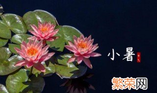 农民在小暑大暑做什么 农民在小暑大暑的习俗