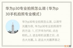 华为p30手机拍照专业模式 华为p30专业拍照怎么调