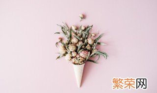 给英国人送花禁忌 给外国人送花禁忌知识