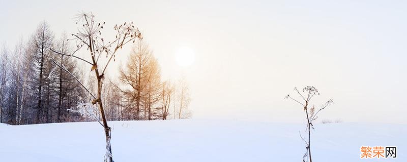 大雪节气在哪天 大雪节气阴历是哪天