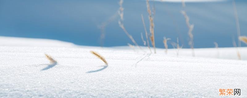 大雪节气是哪天 大雪节气是哪天惊蛰春风清明谷雨立夏相买温度