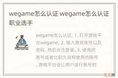 wegame怎么认证 wegame怎么认证职业选手