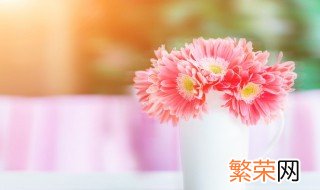 鲜花能放冰箱 鲜花直接放冰箱可以吗