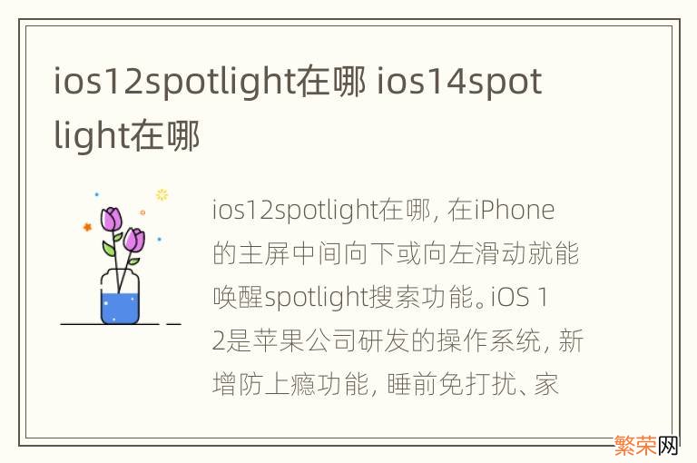 ios12spotlight在哪 ios14spotlight在哪