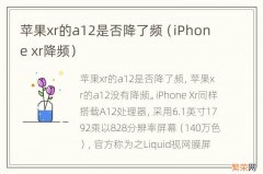 iPhone xr降频 苹果xr的a12是否降了频