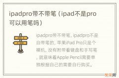 ipad不是pro可以用笔吗 ipadpro带不带笔