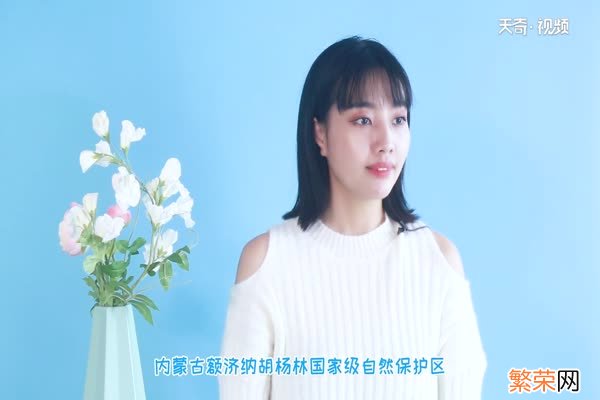 胡杨林在什么地方 胡杨林分布在什么地方