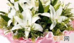 19朵香水百合花语是什么 19朵百合花语是什么意思