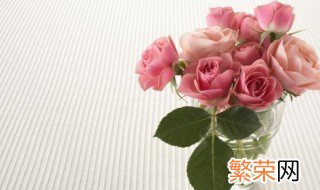 33朵粉玫瑰花语是什么意思 33朵粉玫瑰花语是什么