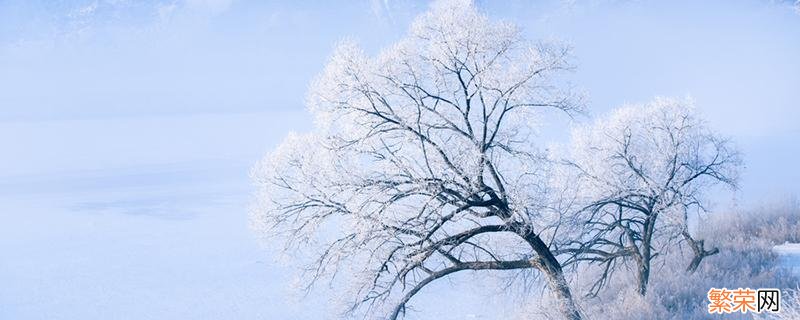 雪是降水吗 大雪是不是降水的形式