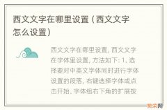 西文文字怎么设置 西文文字在哪里设置