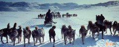 南极人是什么族 北极人是什么族