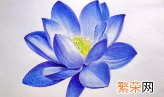 蓝莲花的寓意 蓝莲花有什么寓意