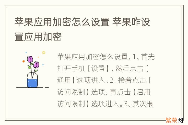 苹果应用加密怎么设置 苹果咋设置应用加密