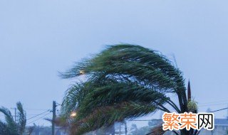 广东话打台风是什么意思 台风有几个级别