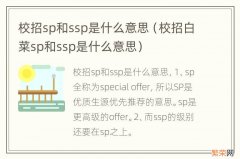 校招白菜sp和ssp是什么意思 校招sp和ssp是什么意思