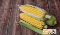 玉米是如何种植的 玉米种植方法是什么