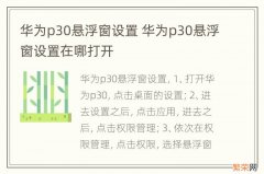 华为p30悬浮窗设置 华为p30悬浮窗设置在哪打开