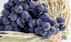 中国中原地区种植葡萄始于哪个朝代? 中国中原地区种植葡萄始于哪个朝代