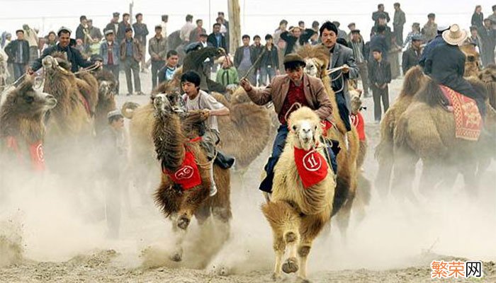 维吾尔族古尔邦节有什么习俗 维吾尔族的古尔邦节习俗