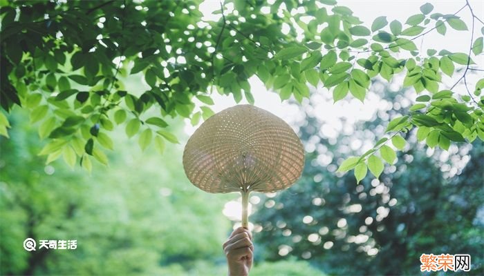 立夏是传统节日吗 立夏是不是传统节日