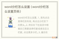 word分栏怎么设置页码 word分栏怎么设置