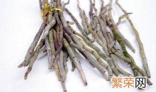 盆栽石斛兰的种植方法 种植石斛兰用什么样的花盆