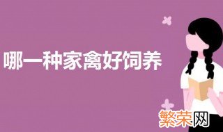 哪一种家禽好饲养 可以饲养这两个种类的