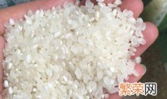 胚芽米和大米的区别 二者有什么不一样的地方