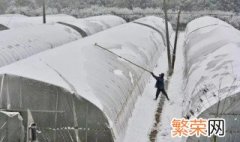 雪天是否卷起大棚棉被 下雪大棚棉被是放下还是卷起来