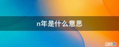 n年是什么意思 n-1年是什么意思