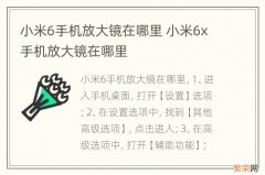 小米6手机放大镜在哪里 小米6x手机放大镜在哪里