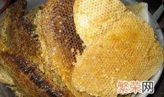 取野蜂蜜技巧 怎样从野蜂窝里取蜂蜜