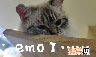 emo是啥 emo是啥意思?什么梗?