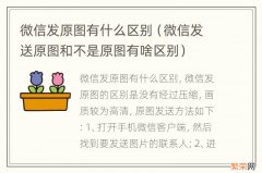 微信发送原图和不是原图有啥区别 微信发原图有什么区别