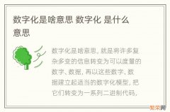 数字化是啥意思 数字化 是什么意思