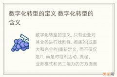 数字化转型的定义 数字化转型的含义