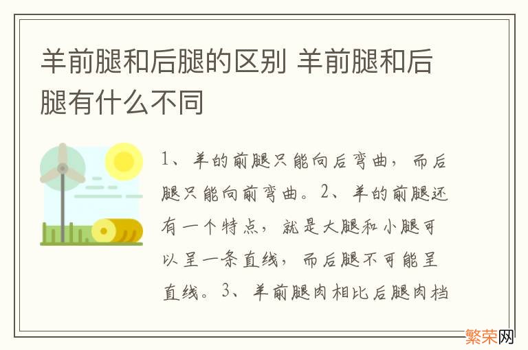 羊前腿和后腿的区别 羊前腿和后腿有什么不同